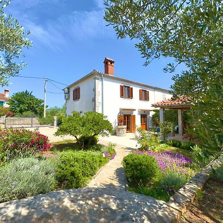 Holiday Home Lavanda Kornić エクステリア 写真