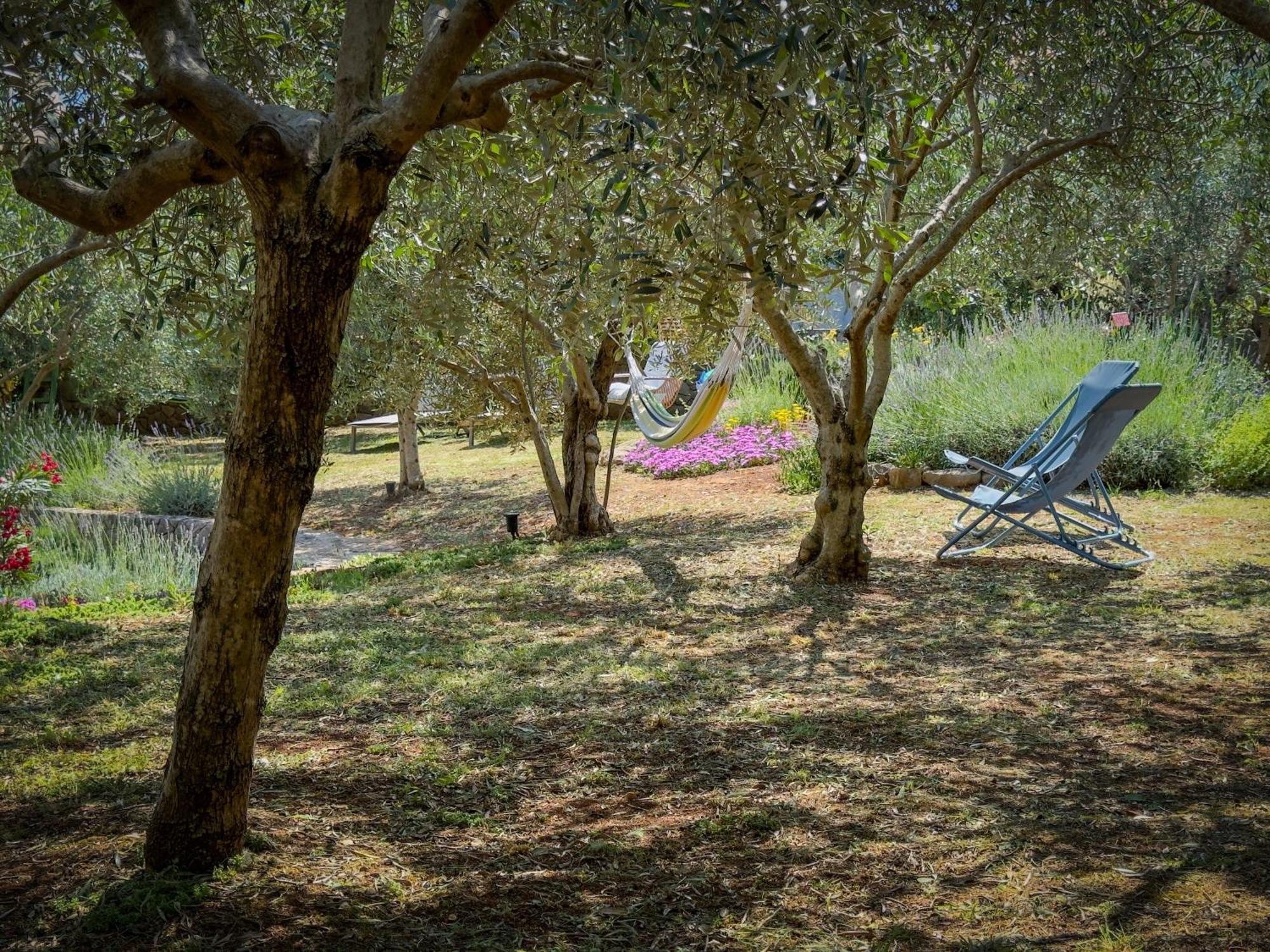Holiday Home Lavanda Kornić エクステリア 写真